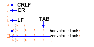 Notepad++ 改行マークのカスタマイズ３